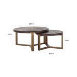 7631 - Coffee table Cromford Mill set of 2  (Brushed Gold)