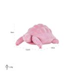 -AD-0020 - Turtle Pokey pink (Pink)