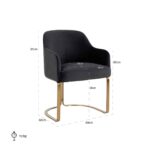 S4492 ANTRACIET VELVET - Chair Hadley antraciet velvet / brushed gold (Quartz Antraciet 801)